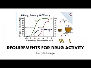 VET PHARMA 1 | 3.3. Affinity & Intrinsic Activity (PD) | (2022-2023)