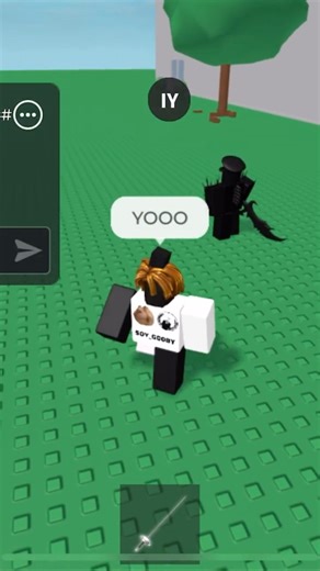 Person in fencing uses fe goner