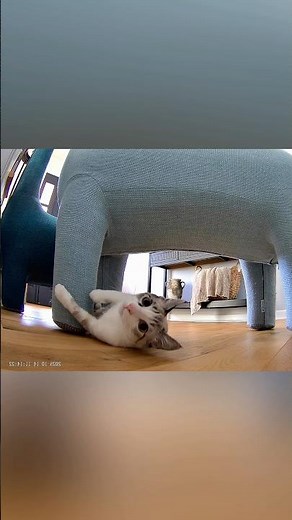 Gary’s secret hobby exposed…