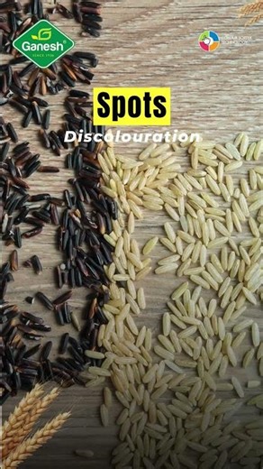 Ganesh’s Colour Sorter Technology ensures purity in every pack #Ganesh #TrustedQuality #ColourSorter