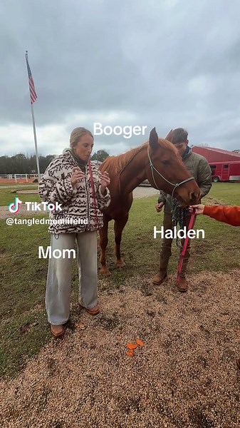 tangledmomlifehd (@tangledmomlifehd)’s video of mom