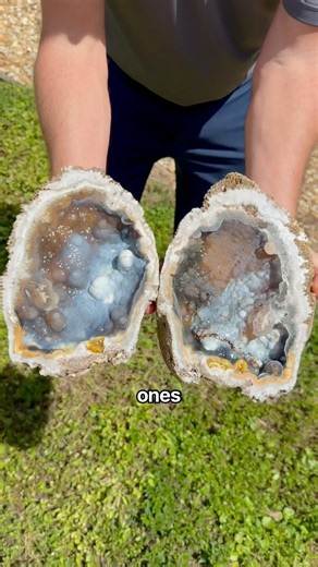 Best coral geode cut of my life so far…crazy natural agate color patterns inside this ancient fossil