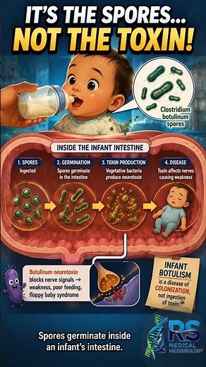 Honey is Classic... Milk Powder is new!! (CDC info)!