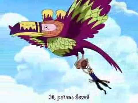 Zoro & The South Bird
