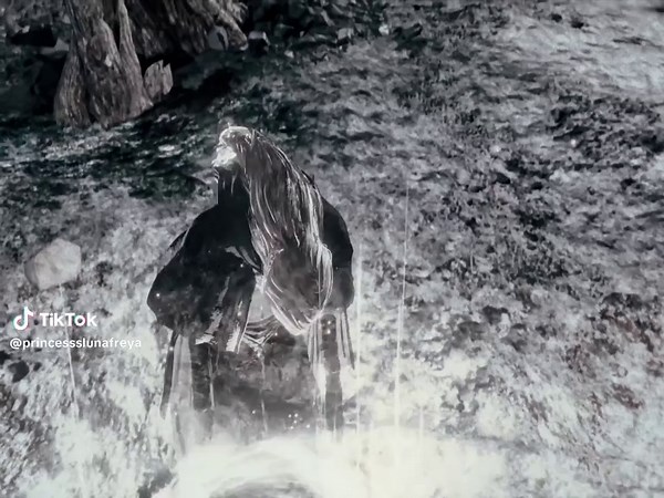 Adieu, Ashen One: Dark Souls Community Farewell