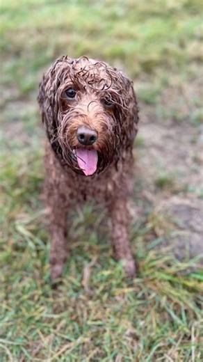 Sophie Raworth on Instagram: "August in England 🤷‍♀️"
