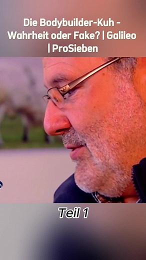 #Die Bodybuilder-Kuh - Wahrheit oder Fake? | Galileo | ProSieben #galileo #viral #fyp #foryou #dogsoftikto