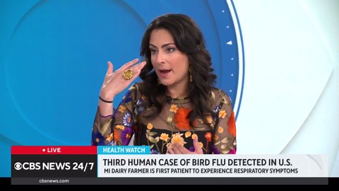 What to know about human cases of bird flu
