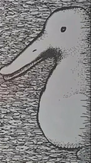 🐰🦆 Duck or Rabbit? Rotate Your Phone 🤯 | Optical Illusion