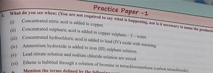 Practice Paper -11. What do you see when: (You are not require... | Filo