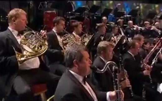 海德薇变奏曲（现场版）Hedwig's Theme—John Williams