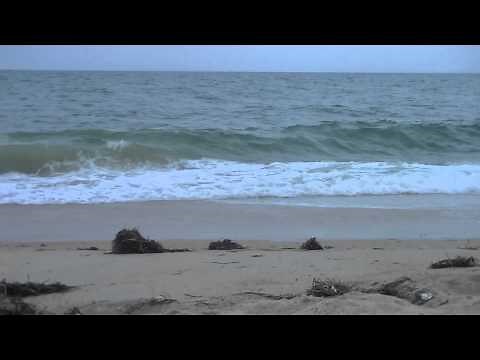 Ocean Waves @ Duck, NC (30 Min)