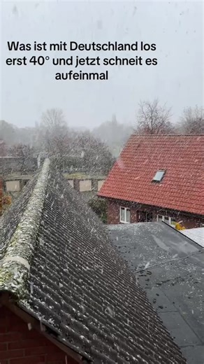 germanboss (@germanbossofficial)’s videos with original sound - germanboss