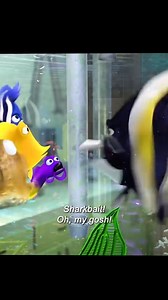 Be Careful Sharkbait Finding Nemo💜💜💜 #findingnemo #nemo #disney #findingdory #pixar #toystory #dory #clownfish #fish #cars #monstersinc #disneyland #reef #disneyworld #disneypixar #theinc | Elsa & Anna