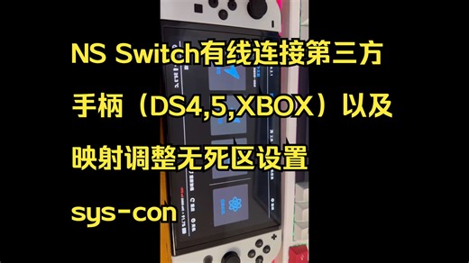 NS Switch有线连接第三方手柄（DS4,5,XBOX）以及映射调整无死区设置 sys-con