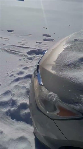 #4 wheeler #snow #fun