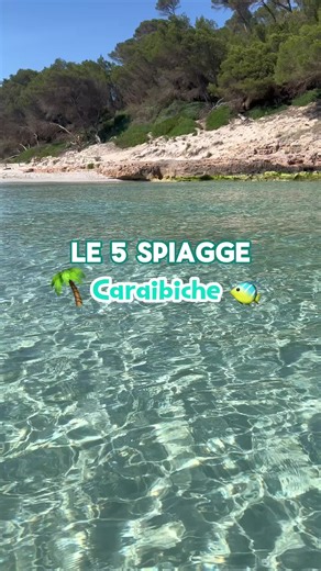 Isola di Minorca Network on TikTok