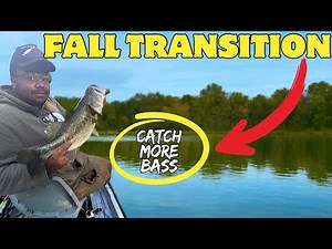 Bass Can’t Resist These Lures! Fall Transition Bass Fishing Tips