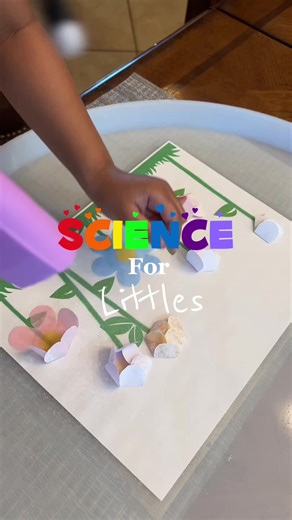 Blooming Flowers Experiment for Spring Fun