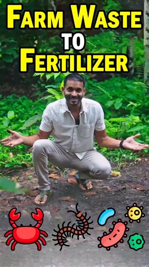 Microorganisms and macroorganisms play a crucial role in transforming farm waste into nutrient-rich fertile soil, promoting sustainable agriculture. Microorganisms such as bacteria and fungi thrive on decomposing organic matter, breaking it down into simpler compounds that plants can easily absorb. Macroorganisms like earthworms aerate the soil while enhancing its structure through their burrowing activities. Together, these organisms enhance soil fertility by increasing moisture retention and n