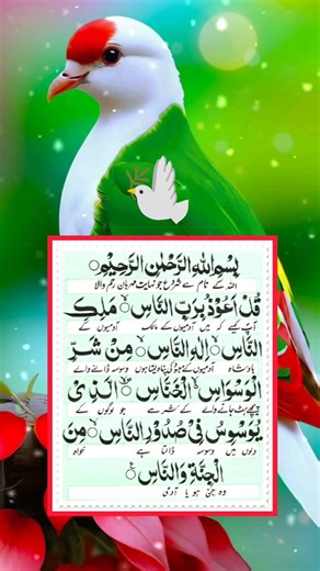 Surah Al-Falaq Full | Protection from All Evil | Quran Recitation with Translation