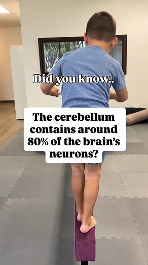 🧠Most people think the cerebellum is just for balance, but it’s one of the busiest parts of the brain!! It supports timing, rhythm, coordination, postural control, attention… and even emotional regulation. When the cerebellum isn’t working efficiently, kids often show it in everyday ways: • clumsiness or frequent falls • poor balance or avoiding movement challenges • getting tired quickly or struggling to sit upright • difficulty focusing or regulating in busy environments • handwriting or coor