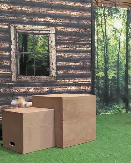 41 reactions · 31 comments | GIVEAWAY ALERT!  Like this post & tag a friend to enter into our draw! One winner gets a family 4-pack of tickets to Little Red Riding Hood, Dec. 4 at 7:00 p.m. at the Mamdani Opera Centre — enter by noon on Tuesday, Nov. 27 for your chance to experience this level of magical cuteness. (Psst: don't want to risk it? Get 50% off tickets with our Cyber Week offer: https://buff.ly/kAlq2JS) | Calgary Opera | Facebook