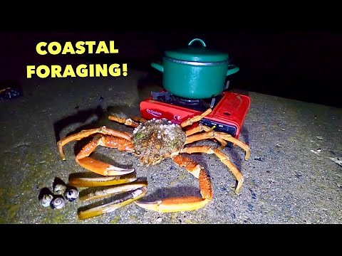 CLAMS , SPIDER CRAB & Snails , Coastal Foraging , Beach Cooking