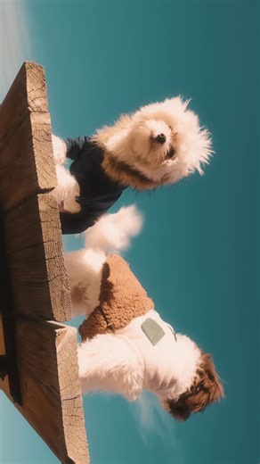 Nikesh Shrestha | December in Colorado #landscape #reels #npfilms | Instagram