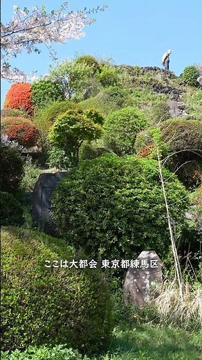 東京23区に隠れた自然！(08)🌿練馬区 中里の富士塚に登る