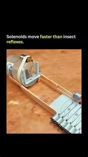 ranny on Instagram: "This robot was built to punish a specific victim. A homemade sensor rig waits for movement. The device sits quietly on a wooden table with popsicle stick rails guiding the path. Suddenly a large cockroach runs straight into the corridor. It triggers a motion sensor hidden inside the white housing. A servo motor instantly activates and drops a plastic gate to pin the insect in place. A red LED lights up on the breadboard to confirm the capture. Then the logic board triggers t