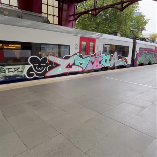 # #Paintedtrains #trainart #traingraffiti #trainbombing #graffitiontrains #trainwriting #graffitiporn #graffitiart #belgianblogger | Painted Trains