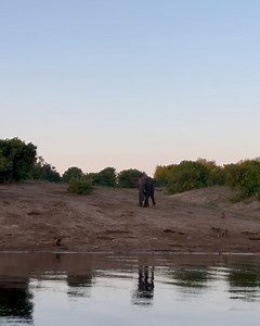 137 reactions | Chobe Game Lodge on Reels | Facebook