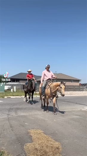 Have no fear, the Ass busters are here. #mules #horses #horsetraining #cowboys #donkeys | Barjlhorsetraining