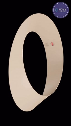 Mobius strip is behaving strangely #science #facts #scienceexperiment | India Scientist