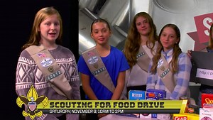 Hopkinton Scouting for Food Drive 2025