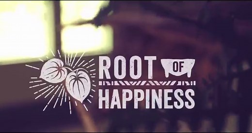 Buy Kava Products Online at Root of Happiness Kava