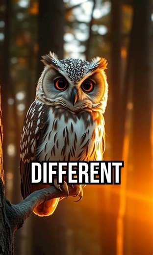 Unity in diversity #ecosystem #diversity #nature