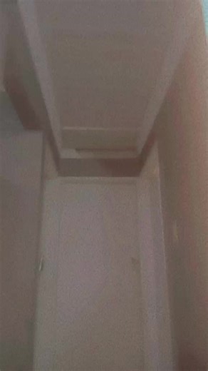 not.wanzey 1063 (@lelo.sibelekwane)’s videos with original sound - Thepillzeditz2