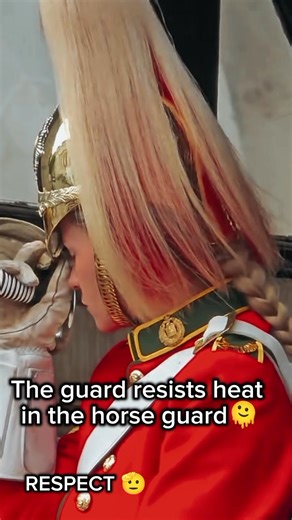 4.4K views · 9.2K reactions | The guard is working in the heat...respect for the guards...it's not an easy job...﫡﫡﫡﫡 #kingsguard #fbpost #fyoupageシ #london | Veronica Trajano | Facebook