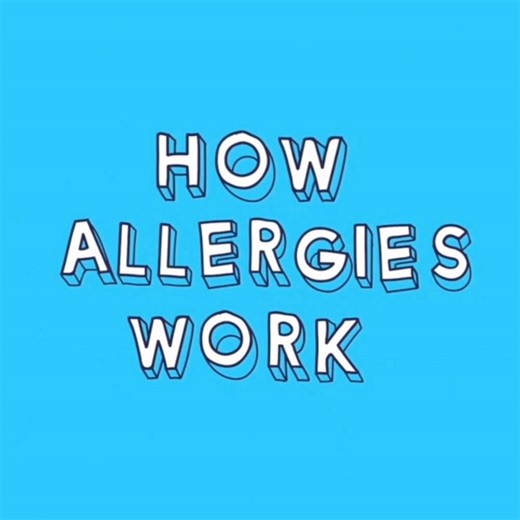 Do you know what happens inside your body when you have an allergic reaction? 🤔 Watch this short animation by 250K for a simple explanation about how we develop allergies and what happens inside our body to cause the symptoms of an allergic reaction 👉 https://bit.ly/48Vpbey | Allergy & Anaphylaxis Australia