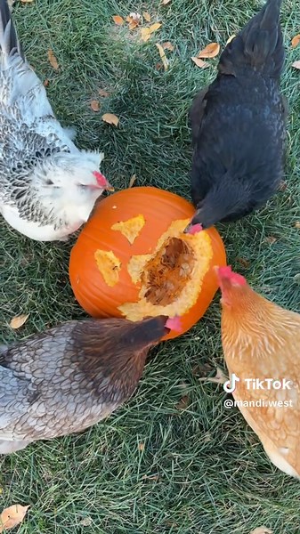 The Ultimate Pumpkin Carving Guide for Halloween Fun