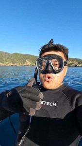 Shark safety tips 101 | Louisdavis