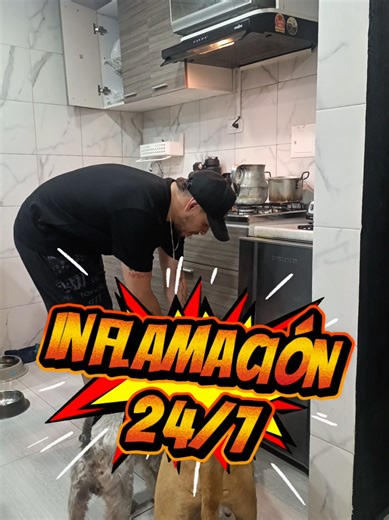 El impacto del ambiente en la salud de tu perro