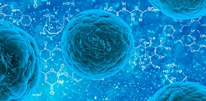 Newly Discovered T Cell Subset is Linked to Autoimmune Disease | Immunology