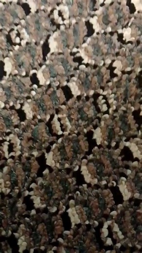 next loop➰ japan is producing electricity from footsteps of people #subscribe #japan #comedy