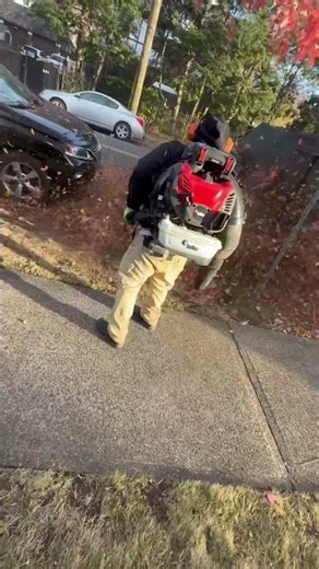 Fall cleanup #redmax #lawncare #viralvideo #shortvideo #cleaning