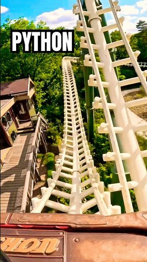 On Ride POV ✨🎢🐍 Python at Efteling Theme Park ✨ #rollercoaster #efteling #shorts