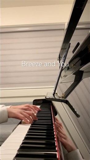 Izumi Hirotaka “Breeze and You” #piano cover