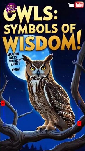 "Owls: Symbols of Wisdom and Mystery | Amazing Facts Revealed!"